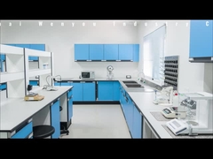 চীন থেকে ইপোক্সি রজন স্ট্যান্ডার্ড কর্মশালা Wenyou শিল্প